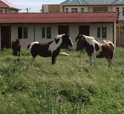 Гостевой дом Villa Angelika Поповка-92